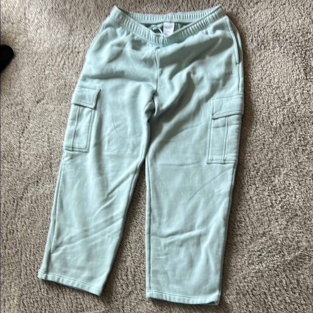 Aritzia Sweatfleece Cozy Pants